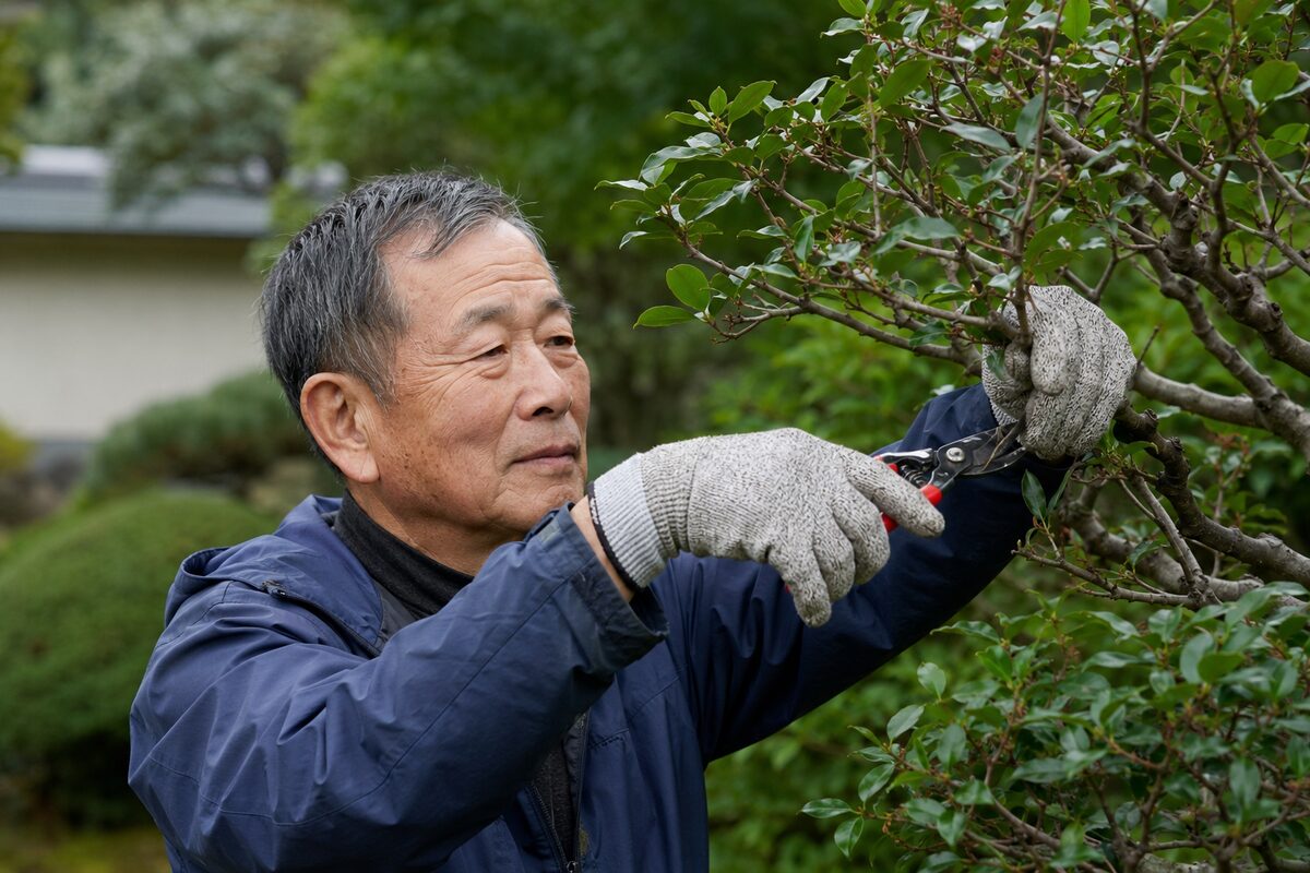 庭仕事・剪定で使う防刃手袋